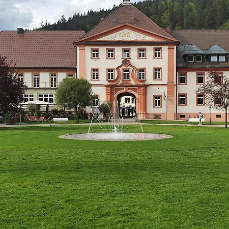 Blackforest Perla Apartment Hoechenschwand
