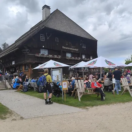 Apartamento Blackforest Perla Höchenschwand