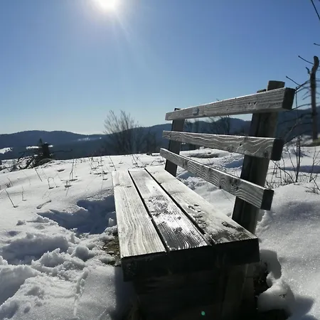 Appartement Blackforest Perla *