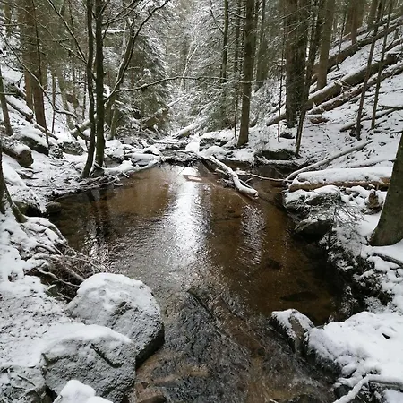Blackforest Perla Apartment Hoechenschwand