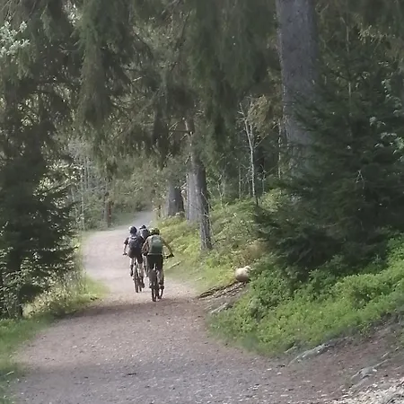 Blackforest Perla Hoechenschwand