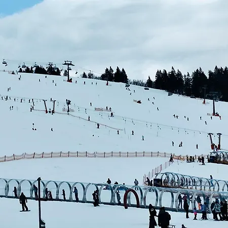 Blackforest Perla Apartment *