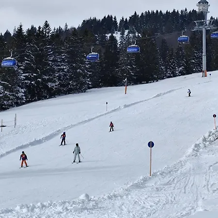 Blackforest Perla Hoechenschwand