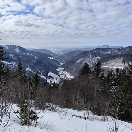 Lägenhet Blackforest Perla Höchenschwand