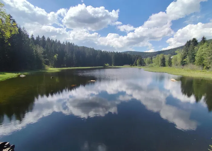 Blackforest Perla Apartment *