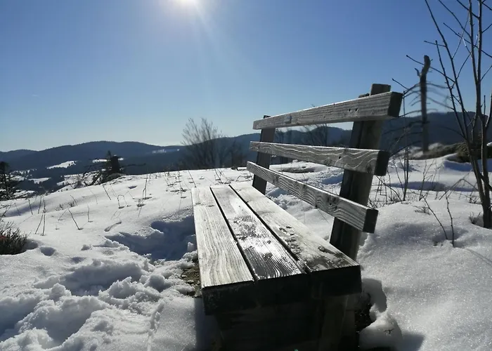 Appartement Blackforest Perla *