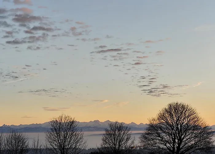 Blackforest Perla Appartement *