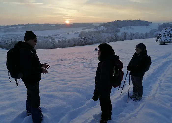 Appartement Blackforest Perla *