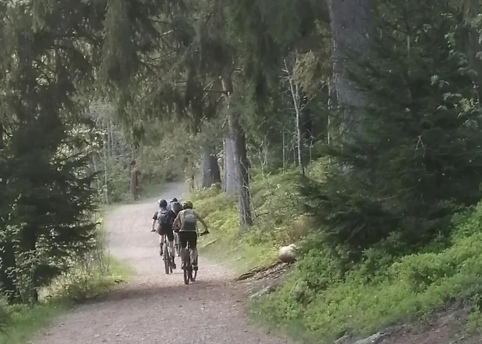 Blackforest Perla Hoechenschwand