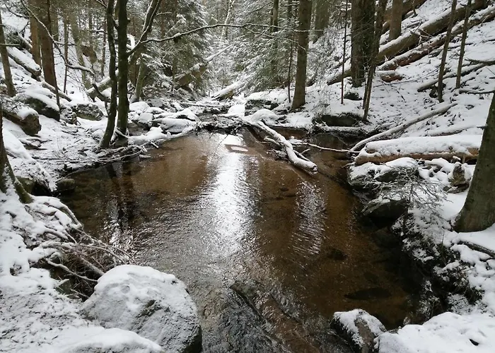 Appartement Blackforest Perla