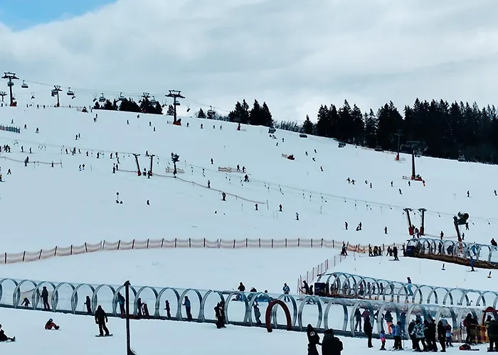 Blackforest Perla Apartment *