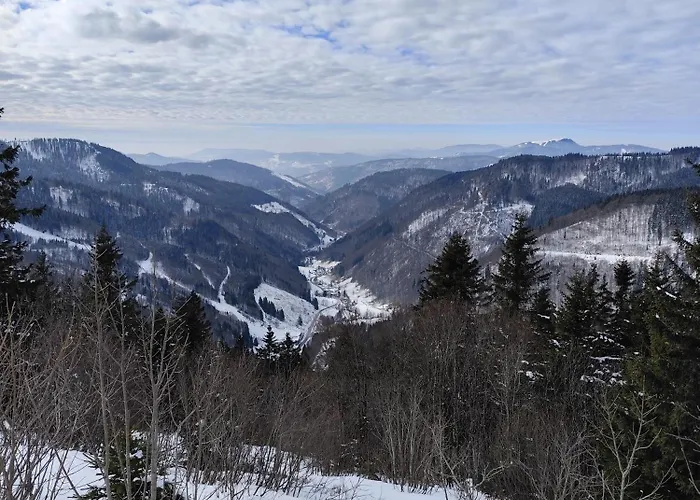 Apartment Blackforest Perla Hoechenschwand